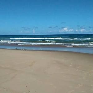 Meet your Posher, Laurie