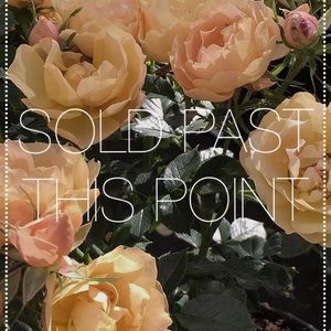 SOLD PAST THIS POINT