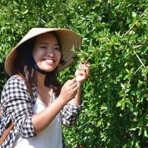 Meet your Posher, An