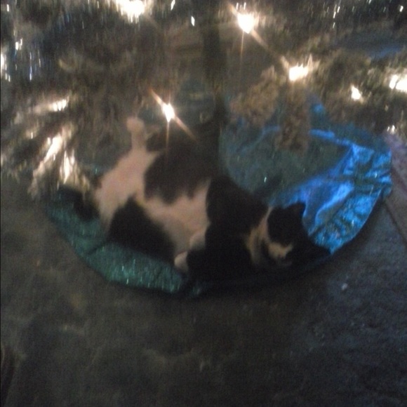 Meet your Posher, Katie - Picture 3 of 4