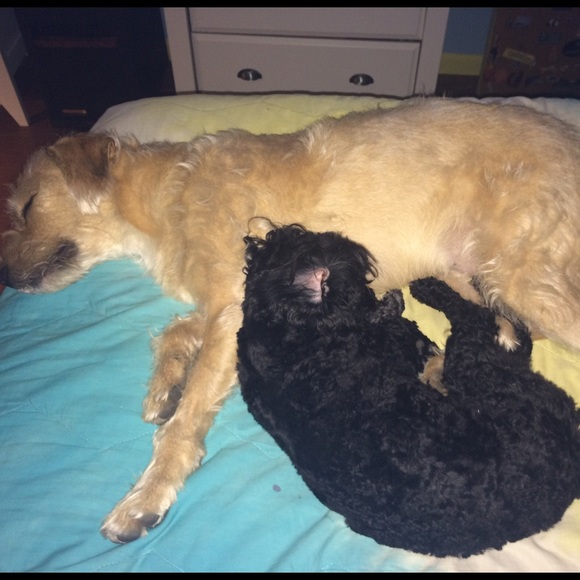 Meet your Posher, Katie - Picture 4 of 4