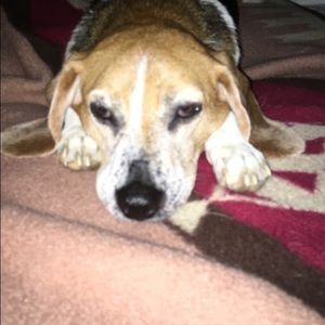 Meet your Posher, Chad