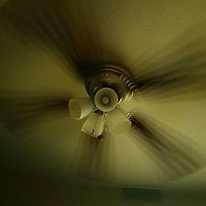 Meet your Posher, Chaz