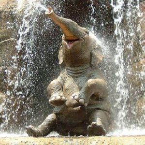 Meet your Posher, Lei