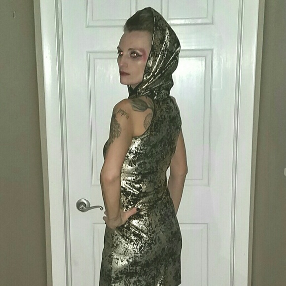 Meet your Posher, Darcey - Picture 3 of 8