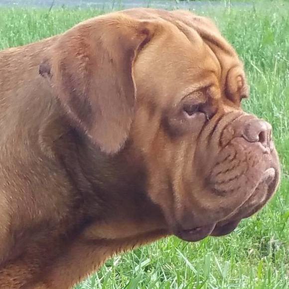 Meet your Posher, Deana