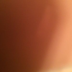 Meet your Posher, Dan