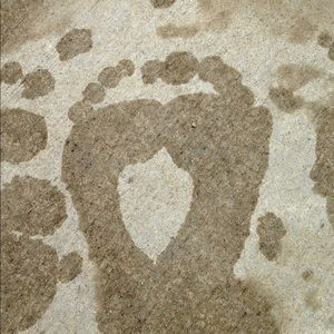 Meet your Posher, Maureen