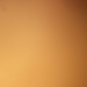 Meet your Posher, Javier