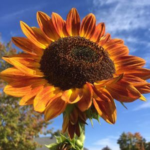 Meet your Posher, Kari