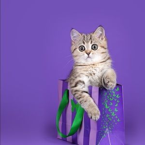 Meet your Posher, Servando