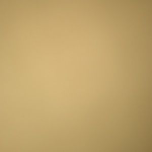 Meet your Posher, Tysjha