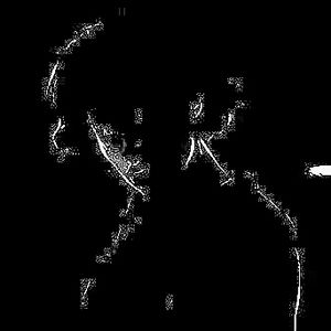 Meet your Posher, Shana