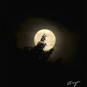 Meet your Posher, Aryn