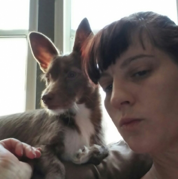 Meet your Posher, Elizabeth - Picture 1 of 1