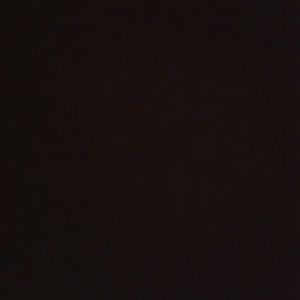 Meet your Posher, Patsy