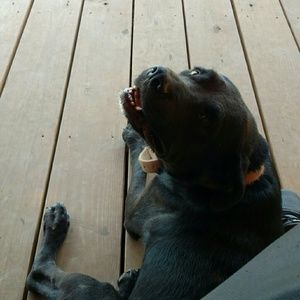 Meet your Posher, Cody