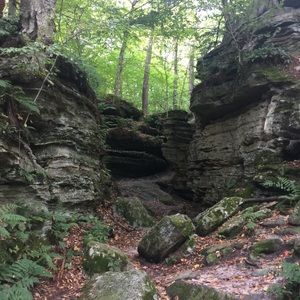 Meet your Posher, Vicky