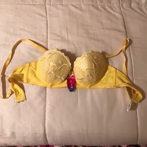 Padded Bra/Strapless Bra
