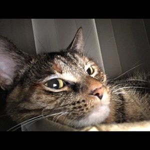 Meet your Posher, Sabrina