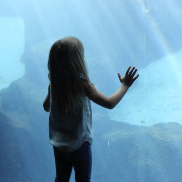 Meet your Posher, Lisa - Picture 1 of 1