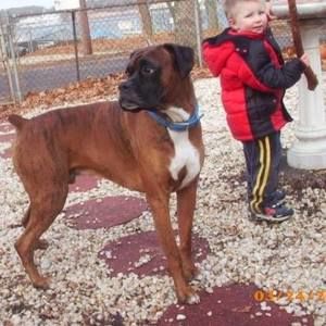 Meet your Posher, Patti