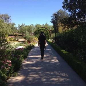 Meet your Posher, David j