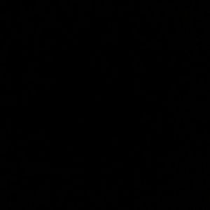 Meet your Posher, Bejani