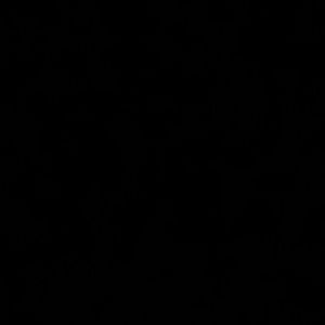 Meet your Posher, Cesar