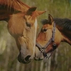 Meet your Posher, Ariella