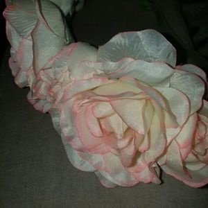 Flower Crown of Roses