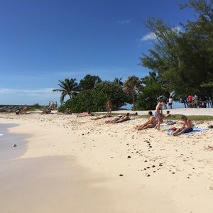 Meet your Posher, Gintare