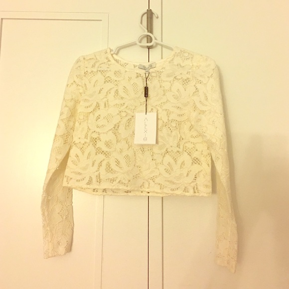 NWT Alexis Cropped Lace Top in Ivory❤️ size XS