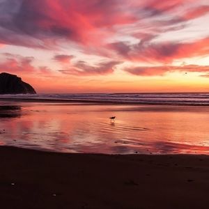 Meet your Posher, Marvin