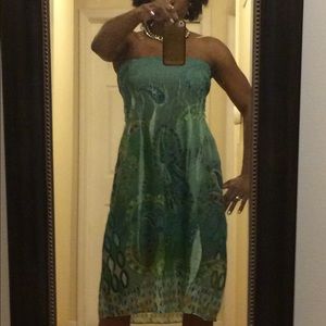 Sheer tube top dress