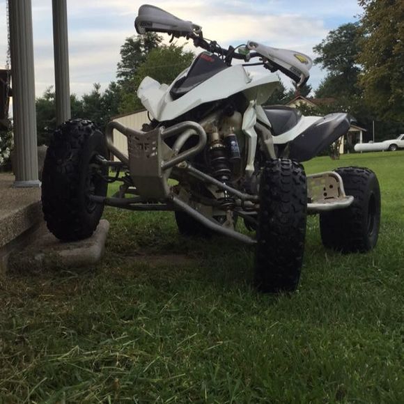 Meet your Posher, Elliott - Picture 1 of 1