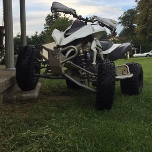 Meet your Posher, Elliott