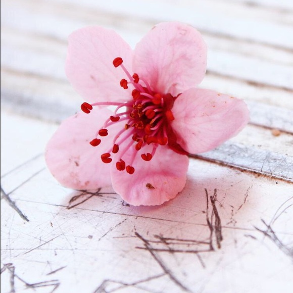 Meet your Posher, Berica