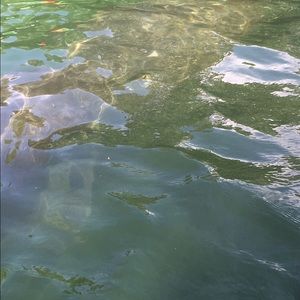 Meet your Posher, Clayton