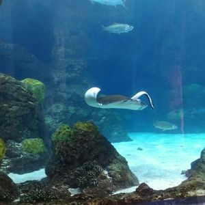 Meet your Posher, Alanna