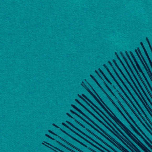 Meet your Posher, Mason - Picture 1 of 1