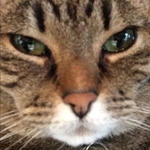 Meet your Posher, Kate