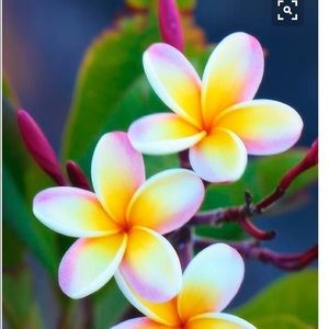 Meet your Posher, Hunter