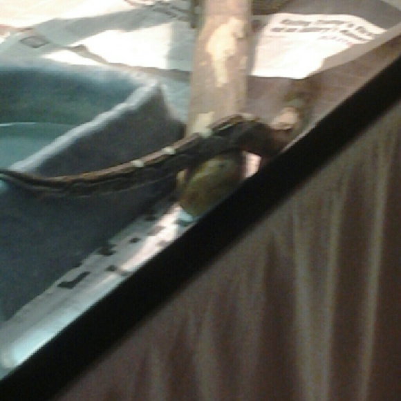 Meet your Posher, Marie - Picture 1 of 1