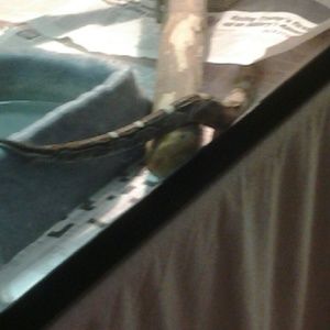 Meet your Posher, Marie