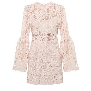 Endless rose lace dress