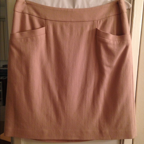 Ann Taylor wool skirt