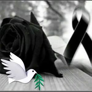 Meet your Posher, Mara