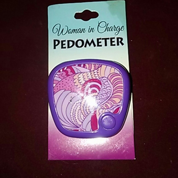 PEDOMETER