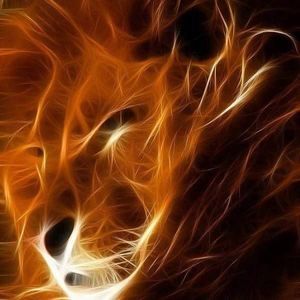 Meet your Posher, Antonio